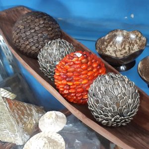 Bellotas-disecadas-artesanias-de-colombia-marketplace » Marketplace Colombia
