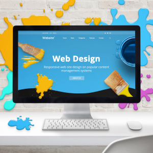 Desarrollo y Diseño Web VixNex