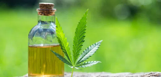 Green Oil Ancestral