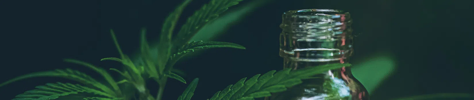 Green Oil Ancestral