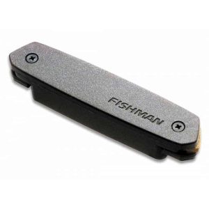 Amplificadores Para Guitarras FISHMAN PRO-NEO-D01