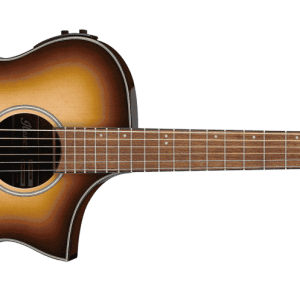 Guitarras Electroacusticas IBANEZ AEWC11-NNB