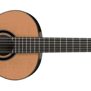Guitarras y Accesorios IBANEZ GA15-NT
