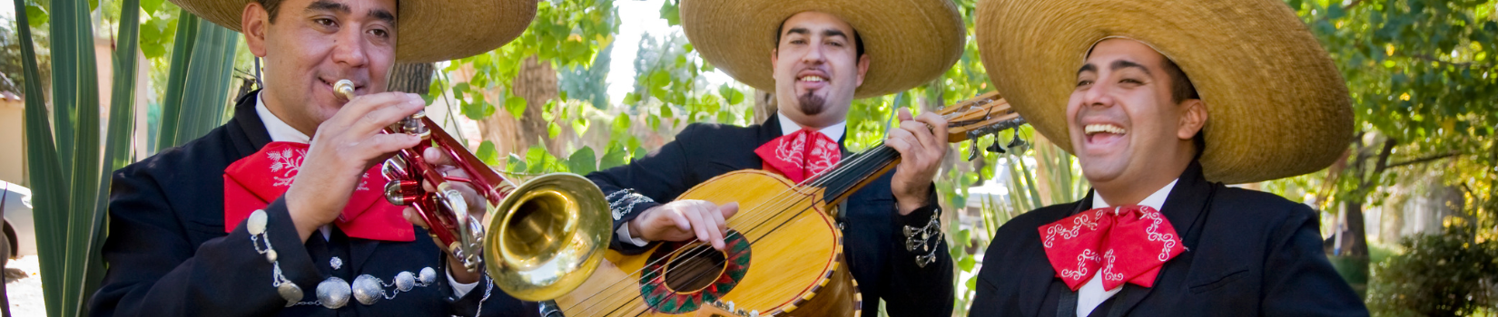 Mariachi México Real