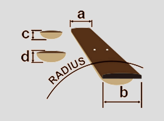 neck
