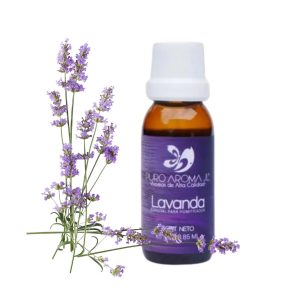 Puro-aroma-cartagena-lavanda-1 » Marketplace Colombia