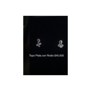 Topos - Aretes de Plata con Rodio
