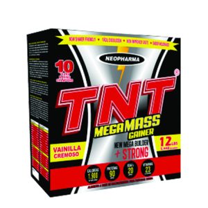 TNT MEGA MASS GAINER