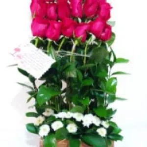 Arreglo Floral  "Sorprender"
