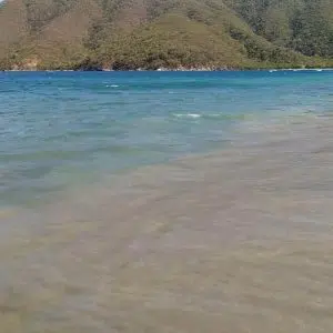 4 X 1 Aventure (Islas del Rosario, Isla Grande, Cholón o Agua Azul, Playa Tranquila y Plancton)