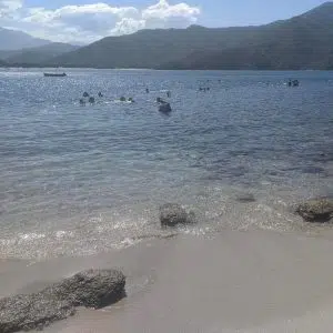 Buceo Acuanauta Gold Travel