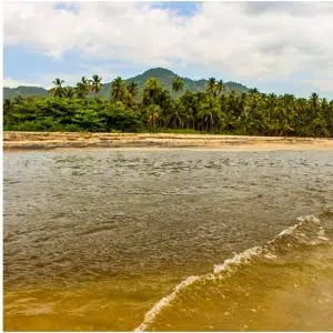 Tours Palomino en la Guajira