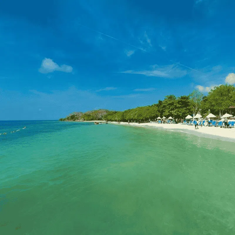 Isla-del-encanto-gold-travel-colombia-000png » Marketplace Colombia