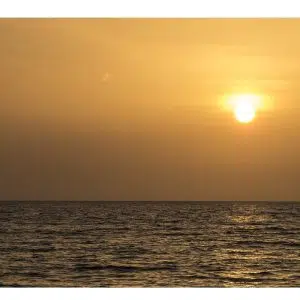 Limochiva Rumbera Santa Marta