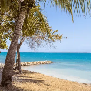Tours Playa Gente De Mar Gold Travel
