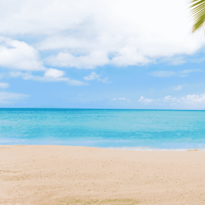 Tours Playa Lizamar Gold Travel
