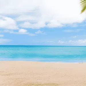 Tours Playa Lizamar Gold Travel
