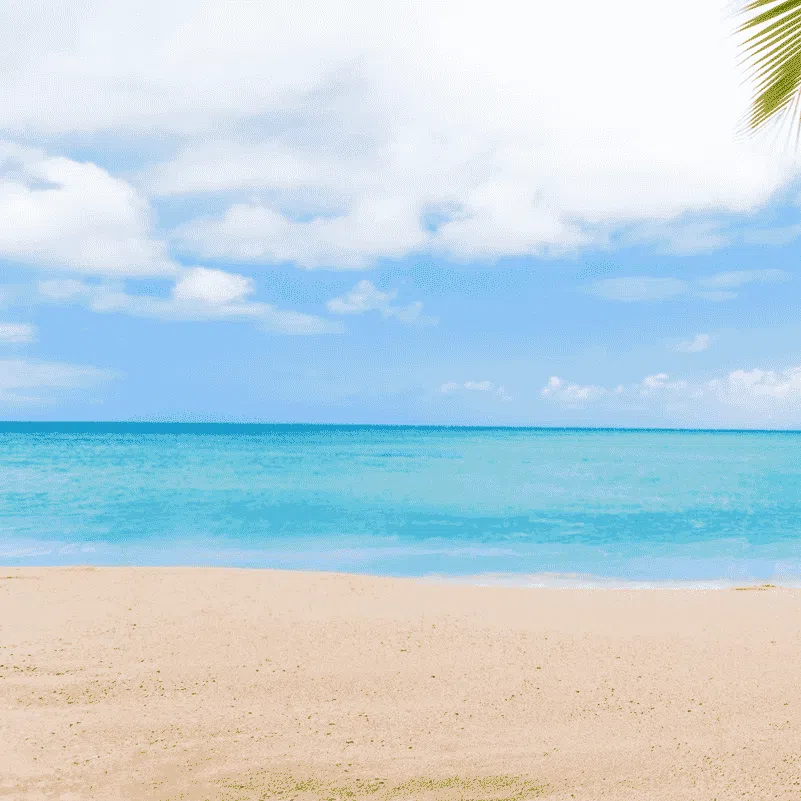 Tour-playa-lizamar-gold-travel-colombia-000png » Marketplace Colombia