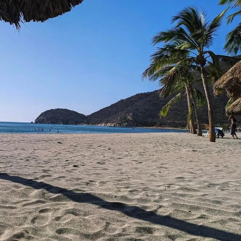 Tour-playa-palmarito-beach-gold-travel-colombia-000jpg » Marketplace Colombia