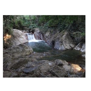Tour-taganga-minca-playa-grande-gold-travel-colombia-000jpg » Marketplace Colombia