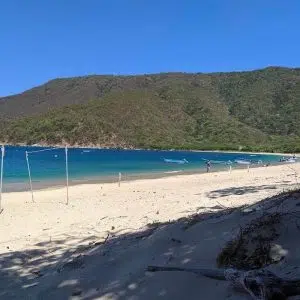 Tours Playa Coral Beach Gold Travel