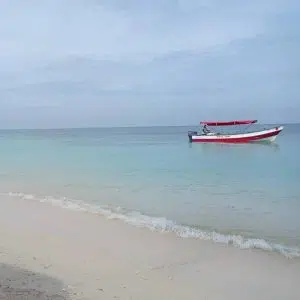 Tours Playa la Cocotera Gold Travel