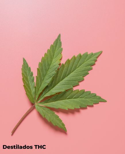Colombia Marketplace Destilados thc