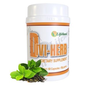 Colombia Marketplace Divi her lifehuni copia 2