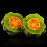 Colombia Marketplace Pulpa lulo