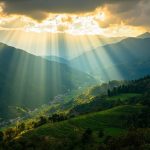 Colombia Marketplace Incakola featured