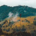 Colombia Marketplace Acopi