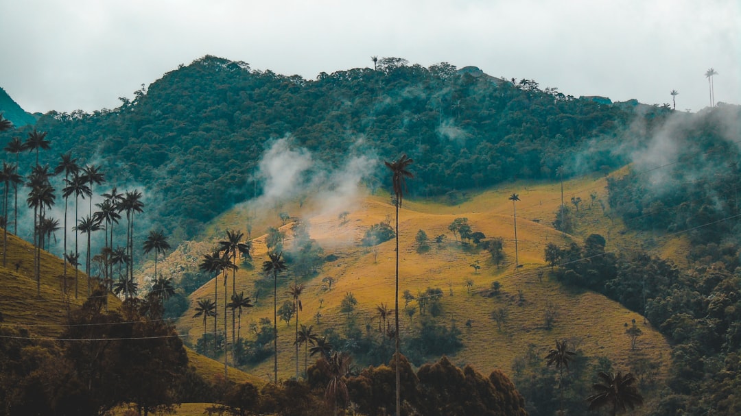 Colombia Marketplace Acopi