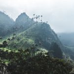 Colombia Marketplace Sac