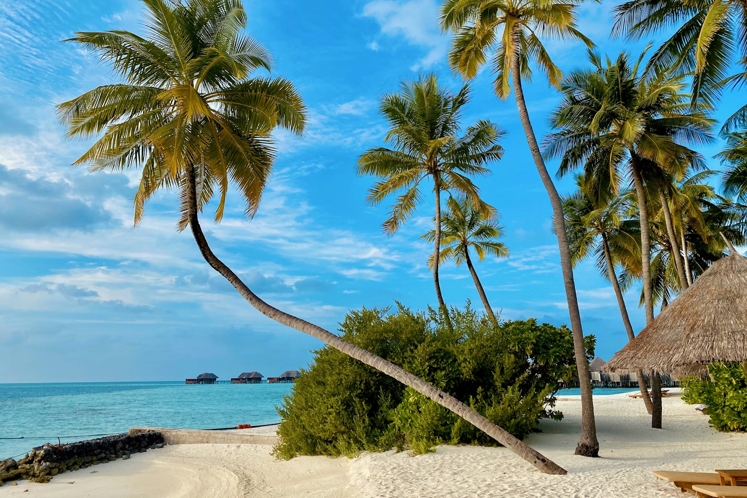 Playas De San Andrés Con Mar Turquesa Y Palmeras
