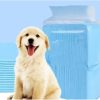 Golden Retriever Puppy Sitting Beside a Tall Blue Tissue Box and a Stack of Tissues Against a Light Blue Background.