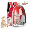 Red Pet Carrier Backpack with a Transparent Bubble, Containing a Fluffy Kitten; Other Kittens Nearby Suggesting Travel with a Cat.